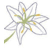 Teeny Logo