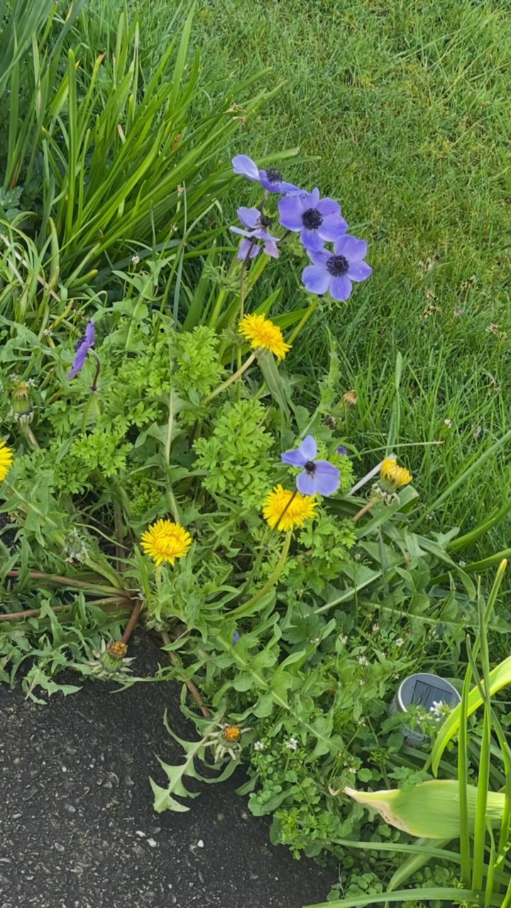 Skibbereen Residential Care Centre & Retirement Village